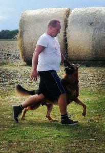 Hundetrainer Andreas Weiß beim Üben mit seinem Rüden Sam vom Gründauer Hain