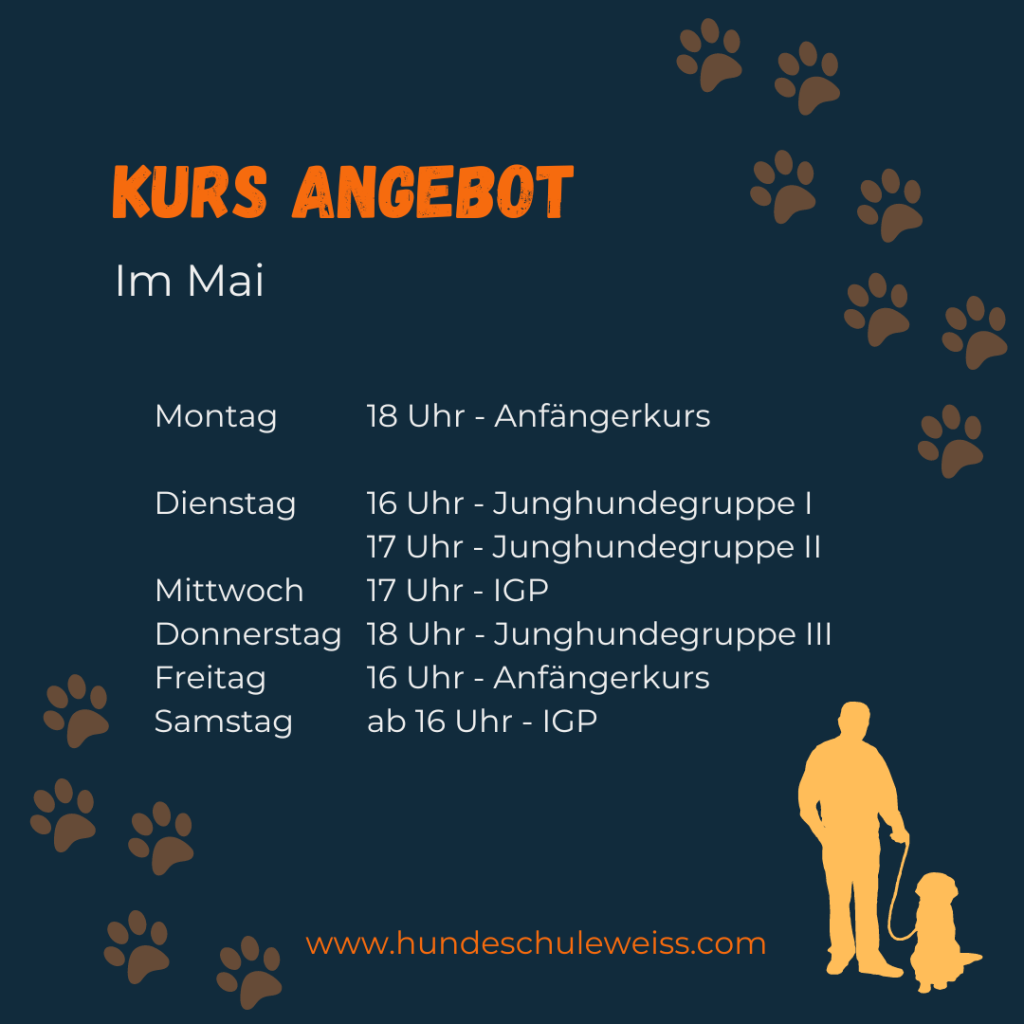 Trainingsangebot Hundeschule Weiß im Mai
